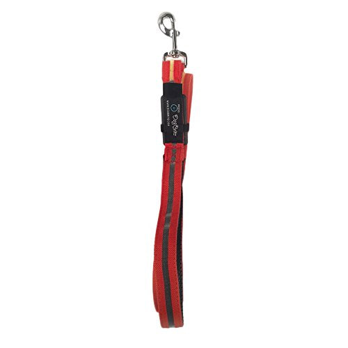 Red lighted waterproof dog leash with no packaging