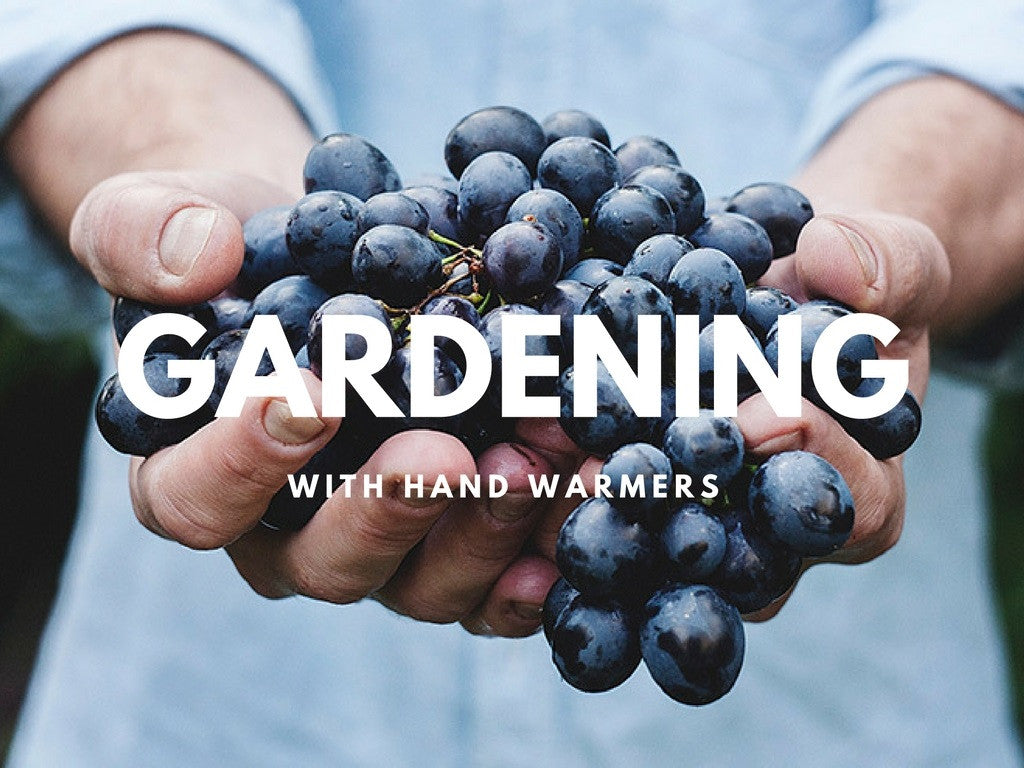 Hand Warmers In the Garden